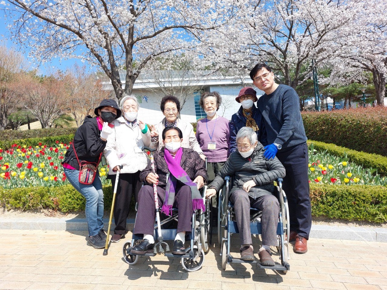 벚꽃 나들이
